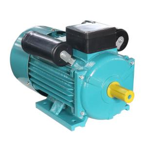 2800RPM 0.5hp 0.37kw Electric Motor Water Pump 50HZ 60 Hz YC80A-2 Cast Iron