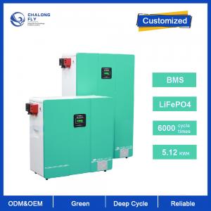 Customized Lithium Ion Battery Pack LifePo4 24V 48V 200Ah Powerwall battery For Solar Home Energy Storage System