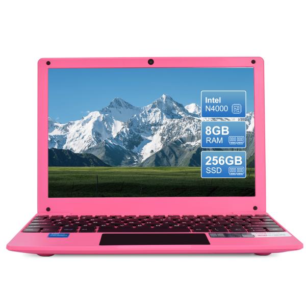 Portable Mini 10.1inch Education Laptop Computer, Windows11 Netbook, Intel Celeron N4000 CPU 8GB RAM 250GB SSD HD IPS Screen, Laptop Computer for Learning, Office Work