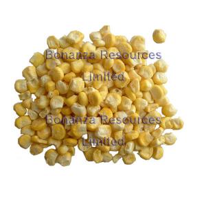 Freeze Dried Sweet Corn Ingredients of Instant Soup Noodles