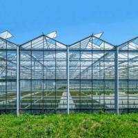 China Water-Resistance Glass Covered Greenhouse for Durable Plant Protection on sale