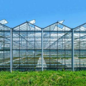 Water-Resistance Glass Covered Greenhouse for Durable Plant Protection