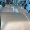 FBB C1S Ivory Board 750mm Grey Back Duplex Board All Size Thick