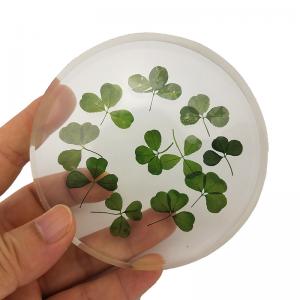 China Artificial Transparent Flower Paperweight With Fragments / Chippings supplier