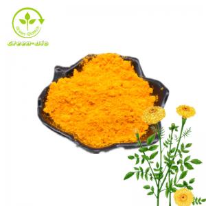 Best Price Marigold Flower Extract Powder Lutein 5% 10%