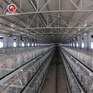China Broiler Baby Chick Poultry Raising Equipment Galvanized Steel Anti Corrosion supplier