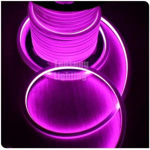 China Flat emitting 230v pink square 16*16m led lighting neon strip for garden supplier