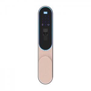 China High Security Finger Vein Recognition Smart Home Door Lock English / Chinese Language supplier