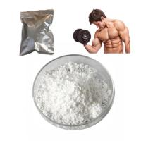 High Quality White powder Short Ester Testosteron Powder Testosterone Acetate CAS 1045-69-8