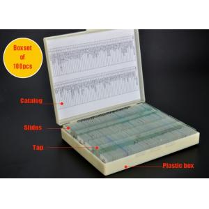 Biological Prepared Microscope Slide Sets For Primary / Middle / High School