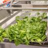 Máquina de exfoliación de frutas y verduras de plata modelo y durabilidad