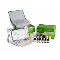 H9N1 Bird Flu Veterinary Diagnostic Kits Antigen Coated Microplate For Personal