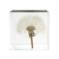 China 2.7 Resin Flower Paperweight 3D Dandelion Paperweight on sale