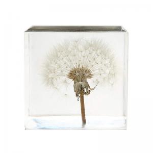 2.7" Resin Flower Paperweight 3D Dandelion Paperweight