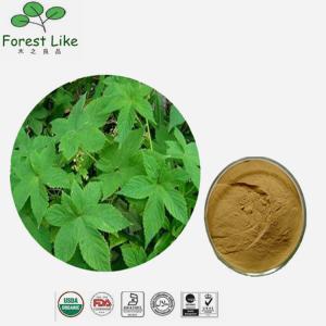 Dietary Supplement Nature Plant Brown Herbal Devils Claw Leaf Extract