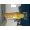 Vegetables Carrot Peach Corn Helium Balloon Lights With LED Lights Inside