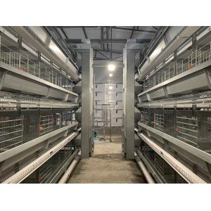 Galvanized Automatic H Type Layer Chicken Cage Convenient Management