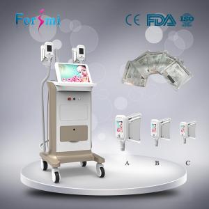 China 2016 newest factory three handle sizes home cryolipolysis slimming machine portable supplier