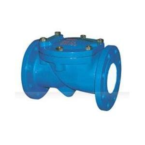 Swing Flex Check Valve