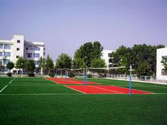 7000 DTEX PE Total Effect Artificial Turf / Lawn Sports for Badminton / Hockey