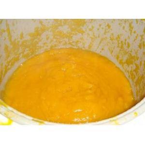 5ton Per Hour Mango Pulp Processing Line Aseptic Big Bag Packing