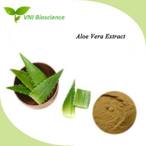 Food Aloe Vera Pure Plant Extracts Anti Bactericidal To Moisturizing Skin