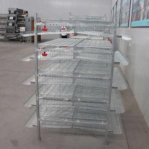 No Corners / Sharp Edges Quail Cage 6 Tier 2 Doors High Automation Long Lifespan