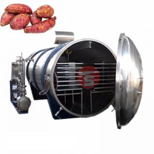 China SGS 200Kg Freeze Drying Plant Lyophilizer Freeze Strawberry Drying Machine supplier