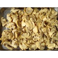 China Sterilized Canned Champignon Mushroom Salt Preservation Process on sale