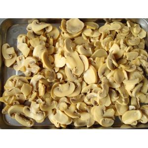 China Sterilized Canned Champignon Mushroom Salt Preservation Process wholesale