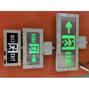 China Luz de emergencia de evacuación de 3W, 120-180 minutos, montada en pared, colores personalizados, indicadores LED, superficie personalizable para Zona 1 y Zona 2 wholesale