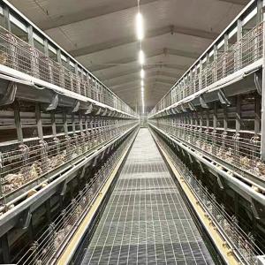 China Automatic Battery Day Old Chicks Poultry Equipment Automated Pullet Brooding Cages for Layers wholesale