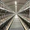 China Automatic Battery Day Old Chicks Poultry Equipment Automated Pullet Brooding Cages for Layers wholesale