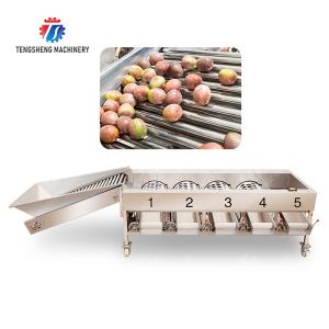 果物 オレンジ 野菜 サイコ パシモン レモン マンダリン パッション 果物 アボカド チェリー マンゴー 梨 マンゴスタイン キウイ 果物加工 生産 検査 分類 選別機