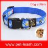 Teddy dog collar pet safety collar QT-0098