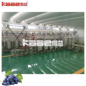 Complete Full Automatic Berry Juicer Machine Processing Line Drink Production Line High Capacity