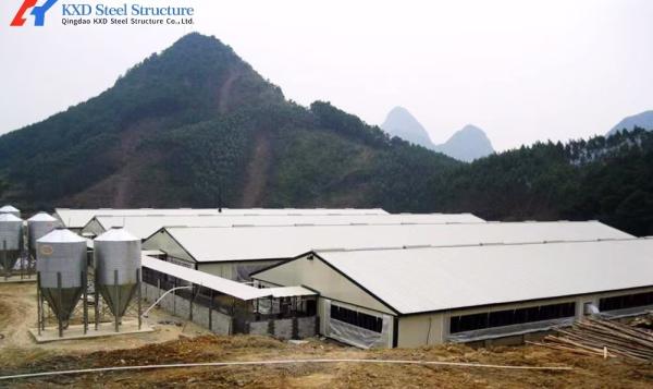 Prefabricated Lightweight Steel Structure Chicken House Shed with ISO9001 CE Certification
