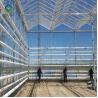 Fruits 0.4KN/M2 4m Height Commercial Glass Greenhouse