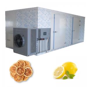 ISO Commercial Hot Fruit Food Cabinet Dryer Mango Lemon Dehydrator