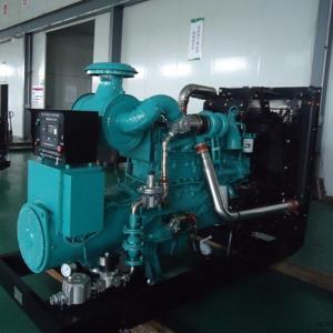 China Electricity LNG CNG 250kw natural gas generator genset power Synchronous grid water cooling supplier