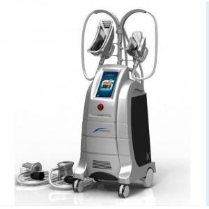 China New Design 4 handles cryolipolysis,hot cryolipolysis cool body sculpting machine,two handl supplier