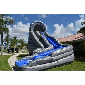 China Commercial Blue Huge Inflatable Slides Logo Printing Wild Rapids 24ft Dual Lane Slide With Pool supplier