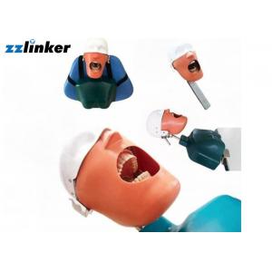China Dental Simulator Dental Chair Unit Detnal Teaching Model Training Simulator Head with Belt supplier