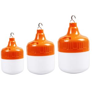 China Rechargeable DC Emergency LED Bulb Light For Fishing Camping With Battery supplier