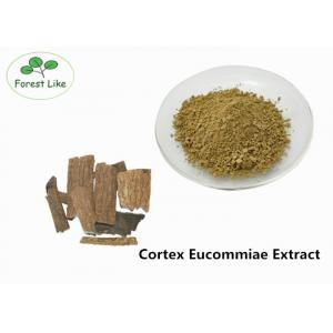 Natural Male Enhancement Powder Cortex Eucommiae Extract 5% Chlorogenic Acid