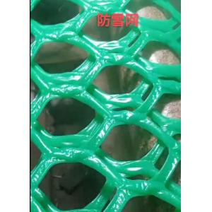 Green Plastic Mesh Netting 200-400gsm Anti Hail Anti Mole Net