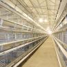 Laying Eggs Automatic Chicken Cage , Large Scale Farm Free Range Chicken Cage