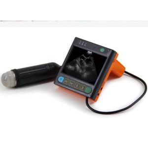 Digital Mechanical Sector Vet Ultrasound Scanner For Pig Sheep Dog Only 620g Weight