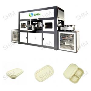 Industrial Biodegradable Pulp Molding Tableware Machine Line For Fast Food Box