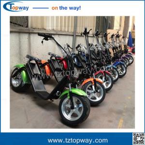 China City Coco Electric Mobility Scooter Fat Tire Electric Motorcycle with front shock supplier